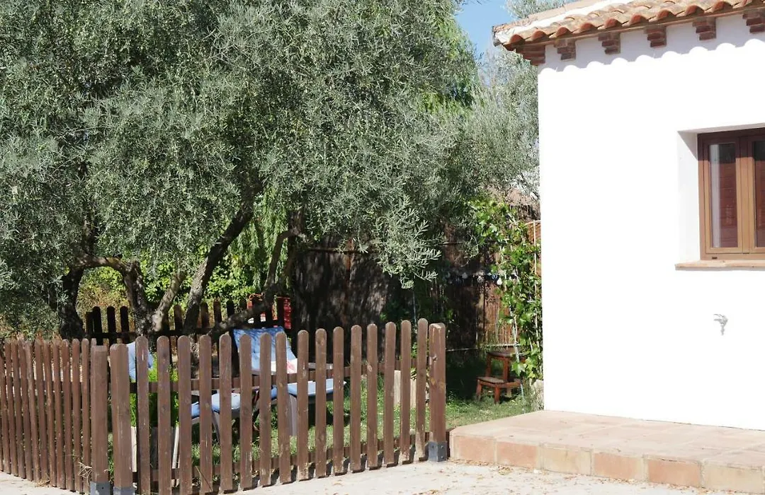 La Perla Blanca - Ronda-1